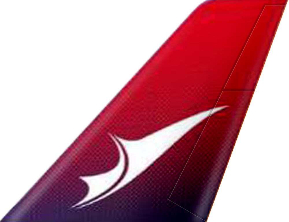 Fits Air logo